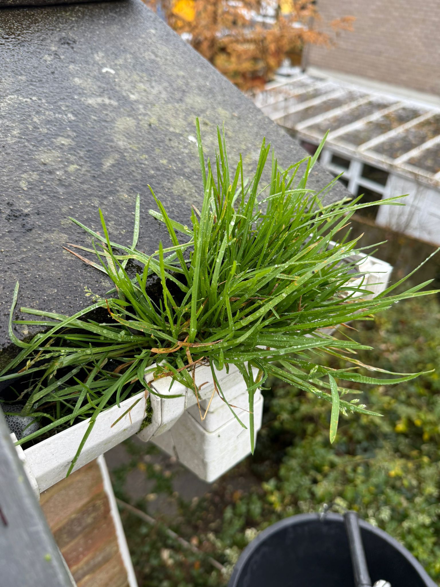 Blocked gutter downpipe  - Crawley Gutter Clearance is the solution!